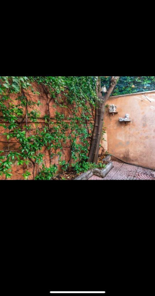 Olimpico'S Apartment ローマ エクステリア 写真